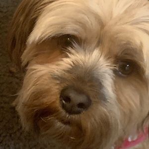 Meet your Posher, Donovan